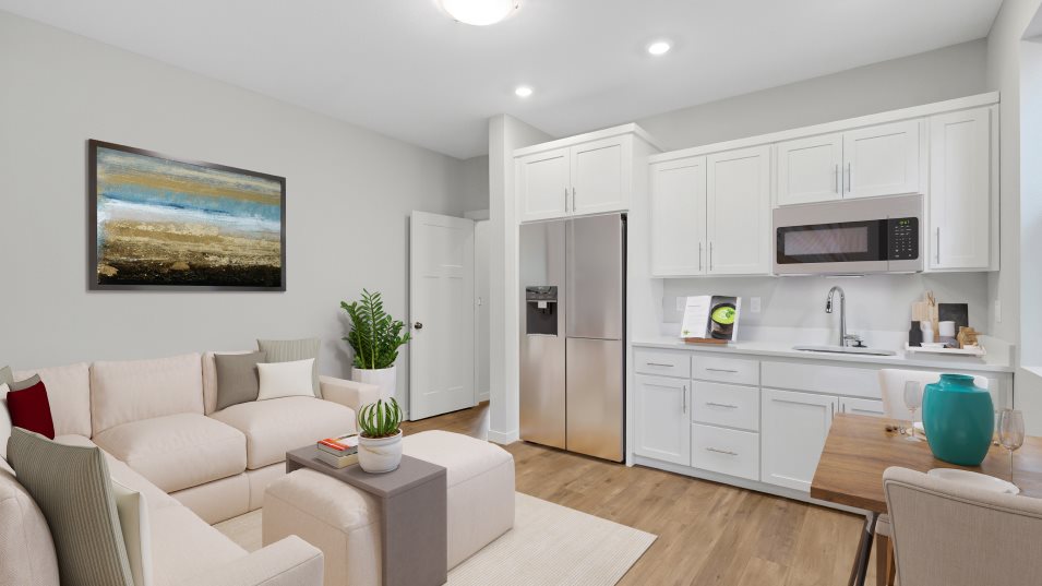Bainbridge Next Gen Suite