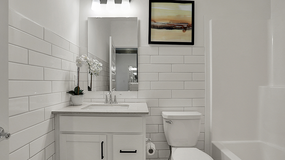 4233 Briarwood Bath2 F1