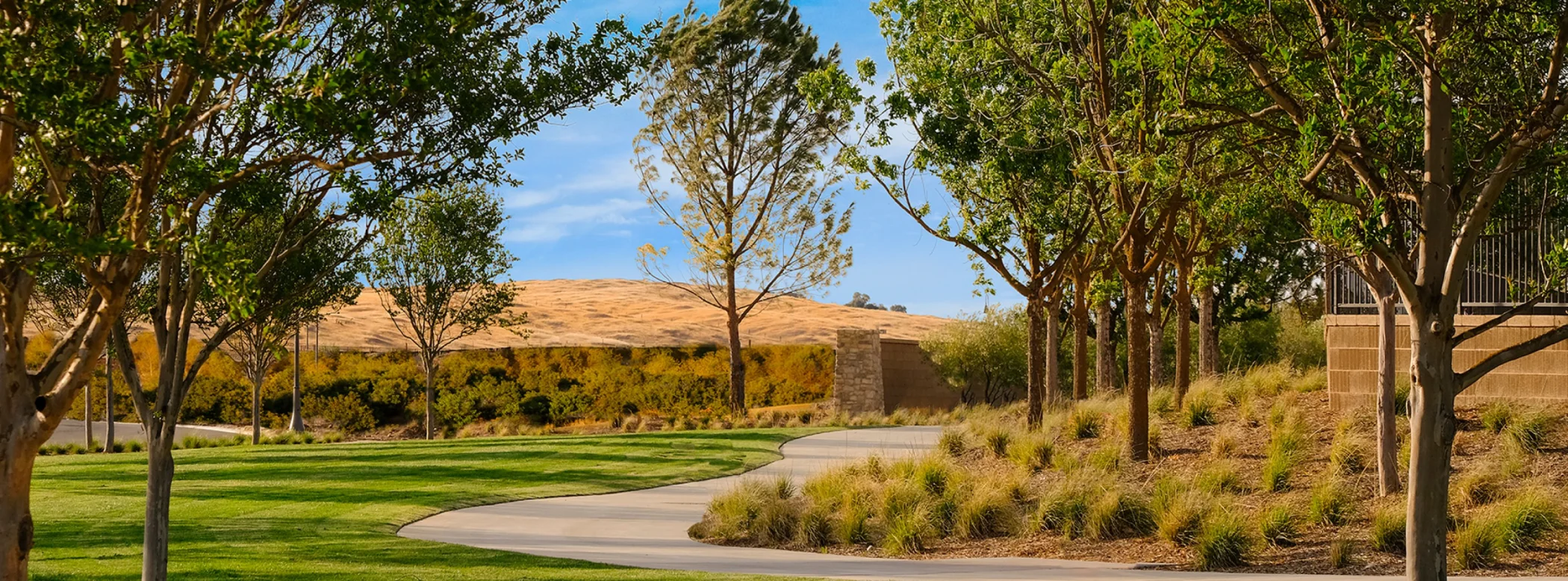 Park amenity with trees