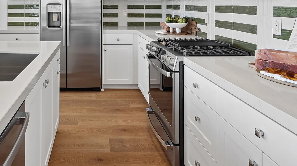 Orion Luna GPN Res1 Kitchen 8of9 F2