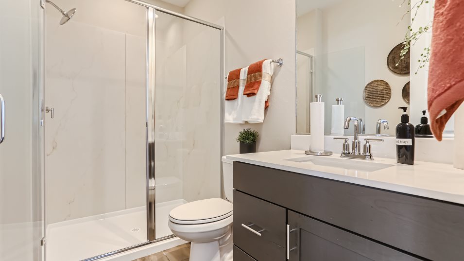 Revolution Next Gen Suite