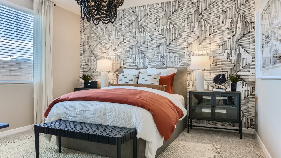 Revolution Next Gen Suite