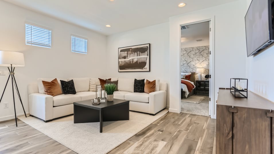 Revolution Next Gen Suite